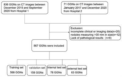 Development, Validation, and Comparison of Image-Based, Clinical Feature-Based and Fusion Artificial Intelligence Diagnostic Models in Differentiating Benign and Malignant Pulmonary Ground-Glass Nodules